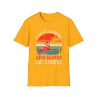 Load image into Gallery viewer, I Like Flamingos and Maybe Like 3 People Vintage Tee
