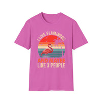 Load image into Gallery viewer, I Like Flamingos and Maybe Like 3 People Vintage Tee
