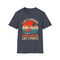Load image into Gallery viewer, I Like Flamingos and Maybe Like 3 People Vintage Tee
