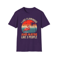 Load image into Gallery viewer, I Like Flamingos and Maybe Like 3 People Vintage Tee
