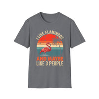 Load image into Gallery viewer, I Like Flamingos and Maybe Like 3 People Vintage Tee
