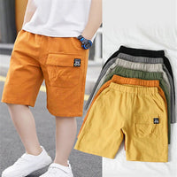 Load image into Gallery viewer, Kids Toddler Boys Shorts With Pocket Spring Summer Shorts Cotton Elastic Waist Fashion Short Pants Fashion Children Clothes
